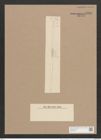 Synedra ulna var. subaequalis (Grun.) V. H. (de-Toni-Nr.: Genus 66, Species 2584) Zeichnungen Sammlung Grunow Nr. 5238 (NHMW-BOT-W0373610)